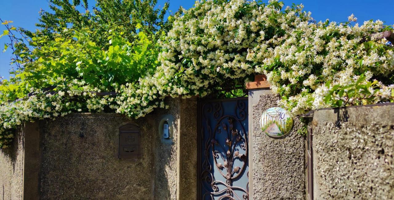 La Primavera Anacapri  Luaran gambar